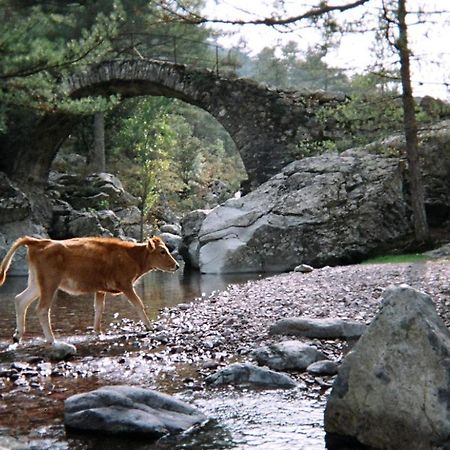 Bed and Breakfast U Pasturellu Pioggiola Екстер'єр фото